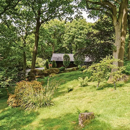 Springwood Tatil parkı Harrogate